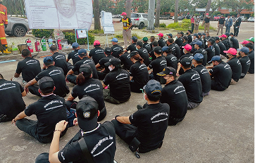 Challenges of creating and structuring a multi-brand system